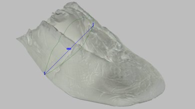 Nike Structure Plus Arch Fit Photo