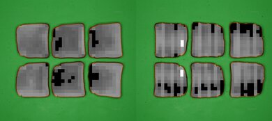 Ninja Flip SP151 Processed Toast Picture