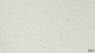 Dynafish Xiaonian Primary Foam Picture