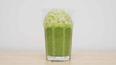 Vitamix 5-Speed Immersion Fibrous Ingredients (Small Batches) Photo