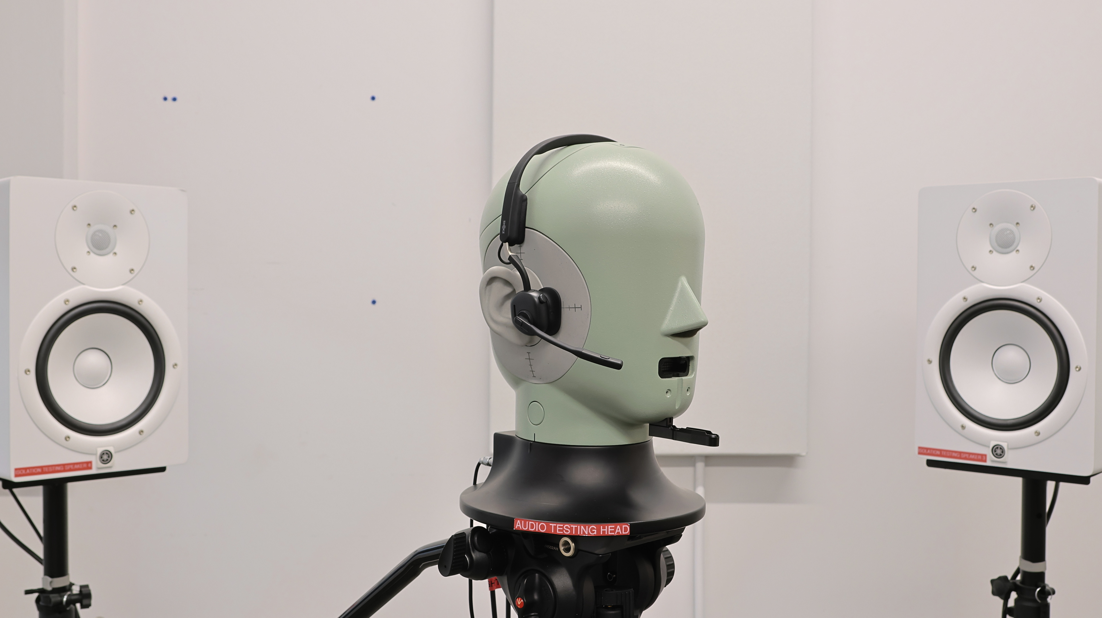 perceptual testing image