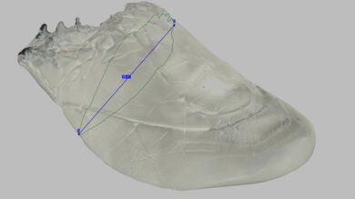 Dynafish Xiaonian Arch Fit Photo