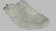 Dynafish Xiaonian Arch Fit Photo
