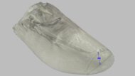 Brooks Hyperion Elite 6 Forefoot Height Photo