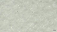 Altra Vanish Pulse Primary Foam Picture