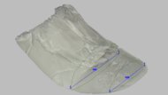 ASICS GEL-KAYANO 31 Forefoot Width Photo