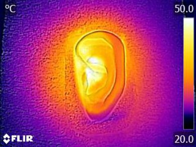 Anker Soundcore Life Q30 Wireless Breathability After Picture