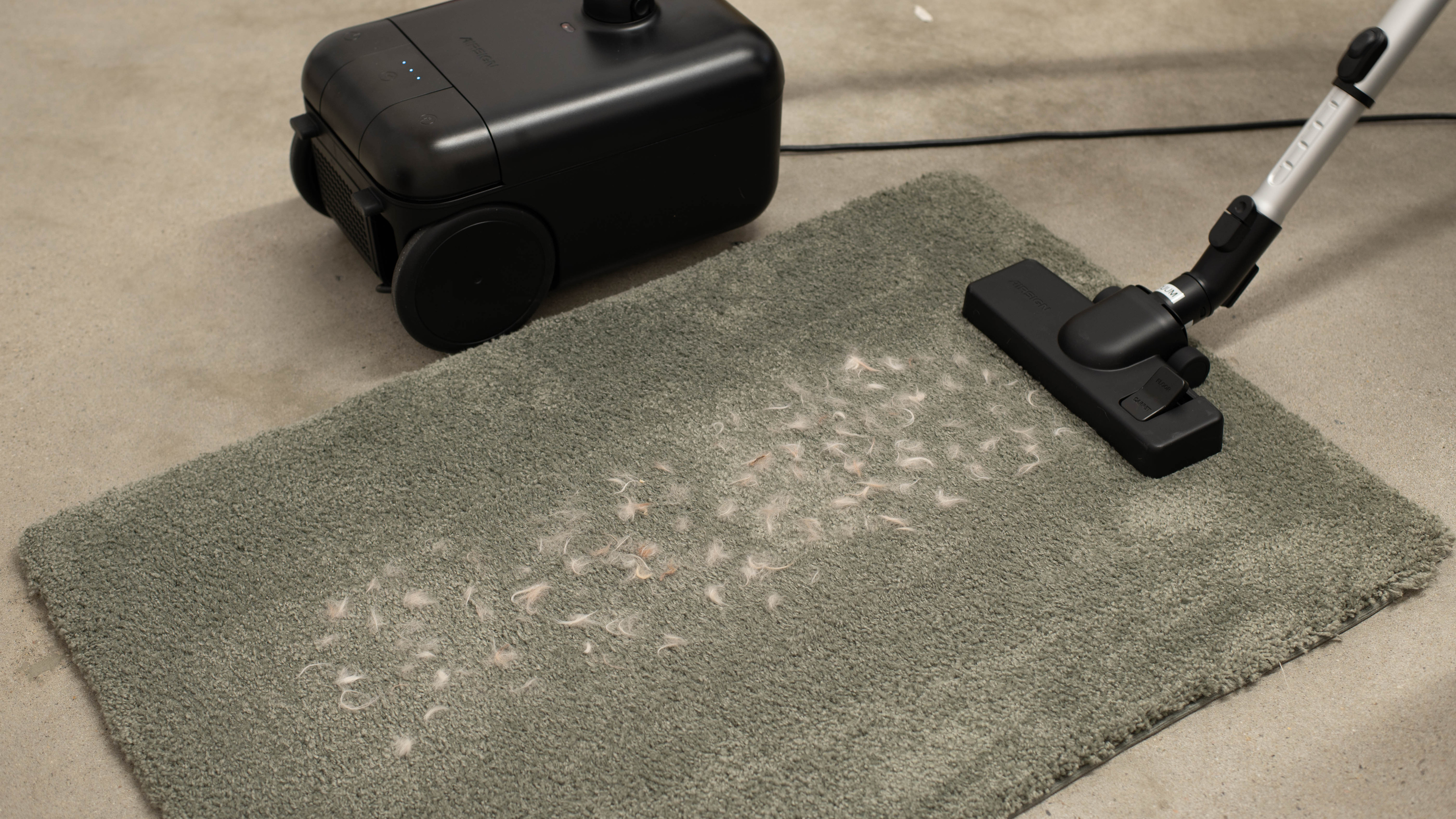 perceptual testing image