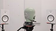 In-Test Picture
