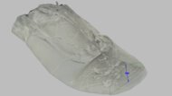 Mizuno Wave Rider 29 Forefoot Height Photo