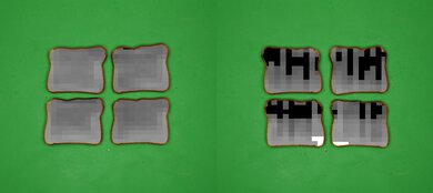 Wolf Gourmet Elite WGCO150S Processed Toast Picture