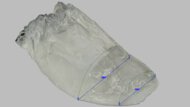 R.A.D SYNTH Forefoot Width Photo
