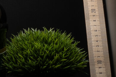 Sony ZV-1 II Sharpness Scene Crop