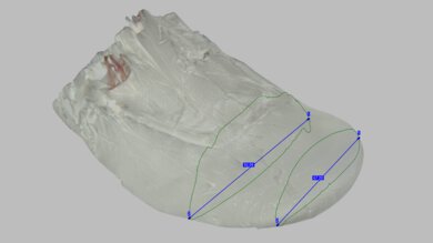 Altra Torin 8 Forefoot Width Photo