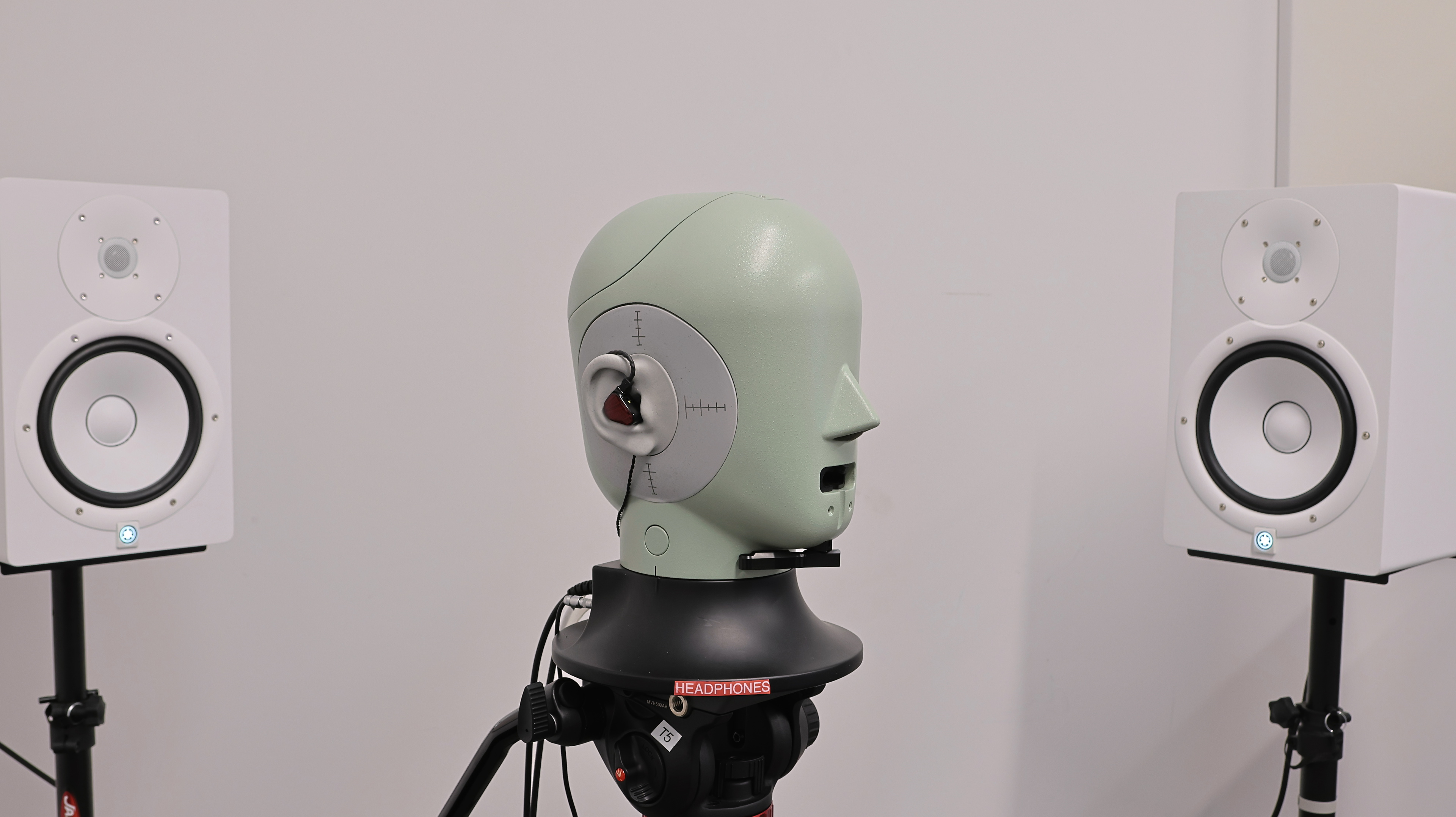 perceptual testing image