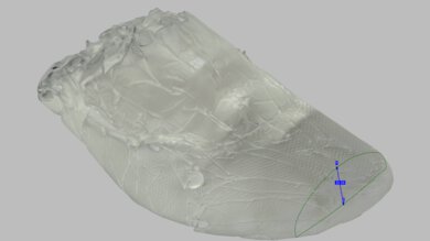 On Cloudmonster 3 Forefoot Height Photo