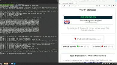 Private Internet Access Headless OpenVPN Connection Screenshot