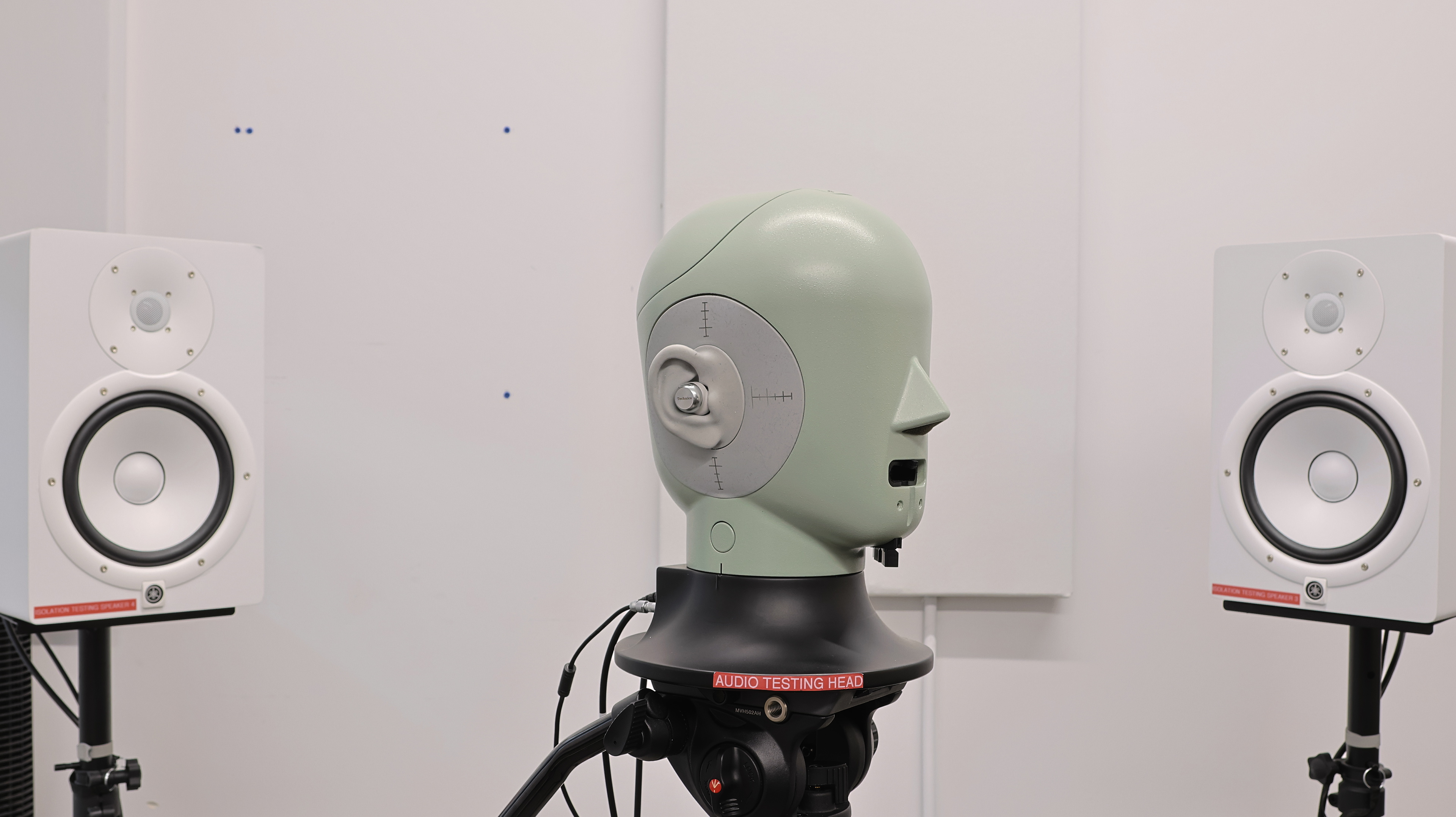 perceptual testing image