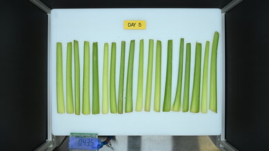 Samsung RF32CG5400SR Produce Picture (After)