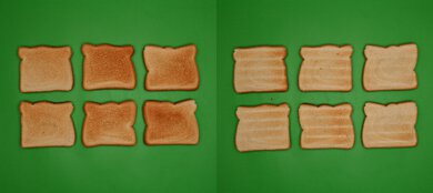 NuWave Bravo XL Pro Unprocessed Toast Picture