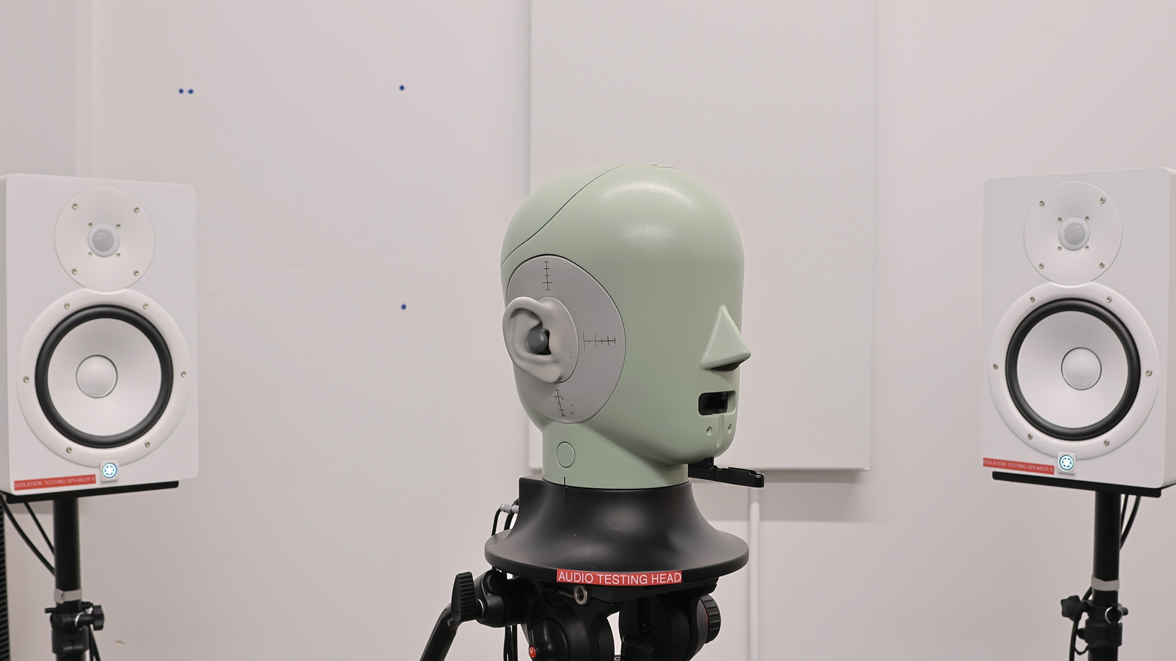 perceptual testing image