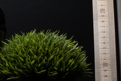 Fujifilm X-T4 Sharpness Scene Crop