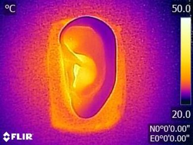 Sony MDR-ZX550BN Wireless Breathability After Picture