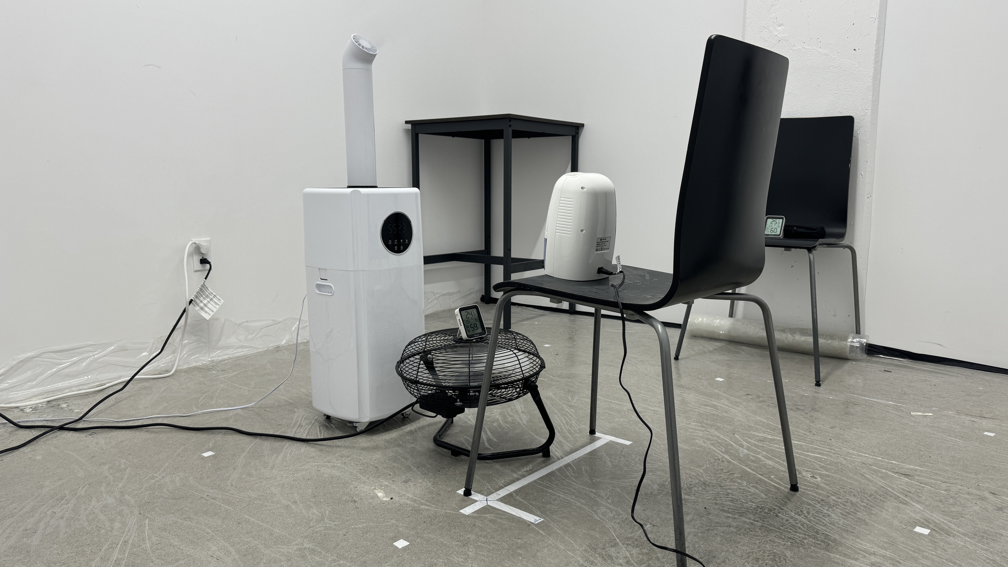 perceptual testing image