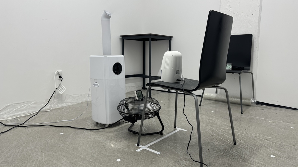 perceptual testing image