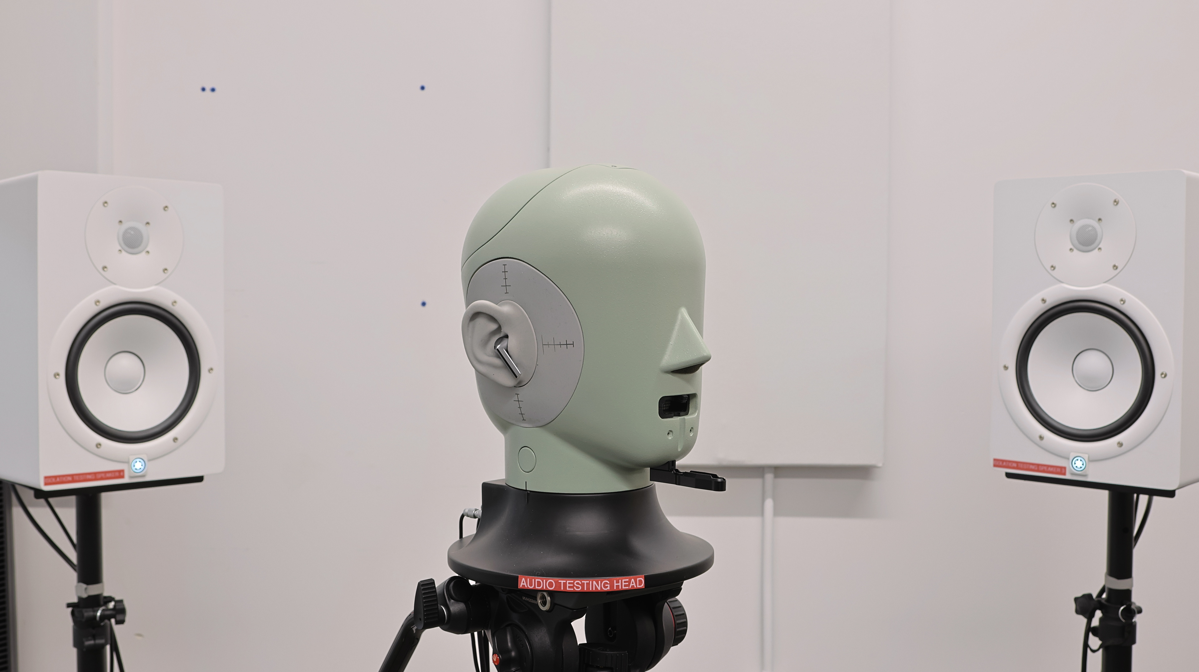 perceptual testing image