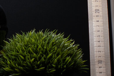 Fujifilm X-T30 II Sharpness Scene Crop