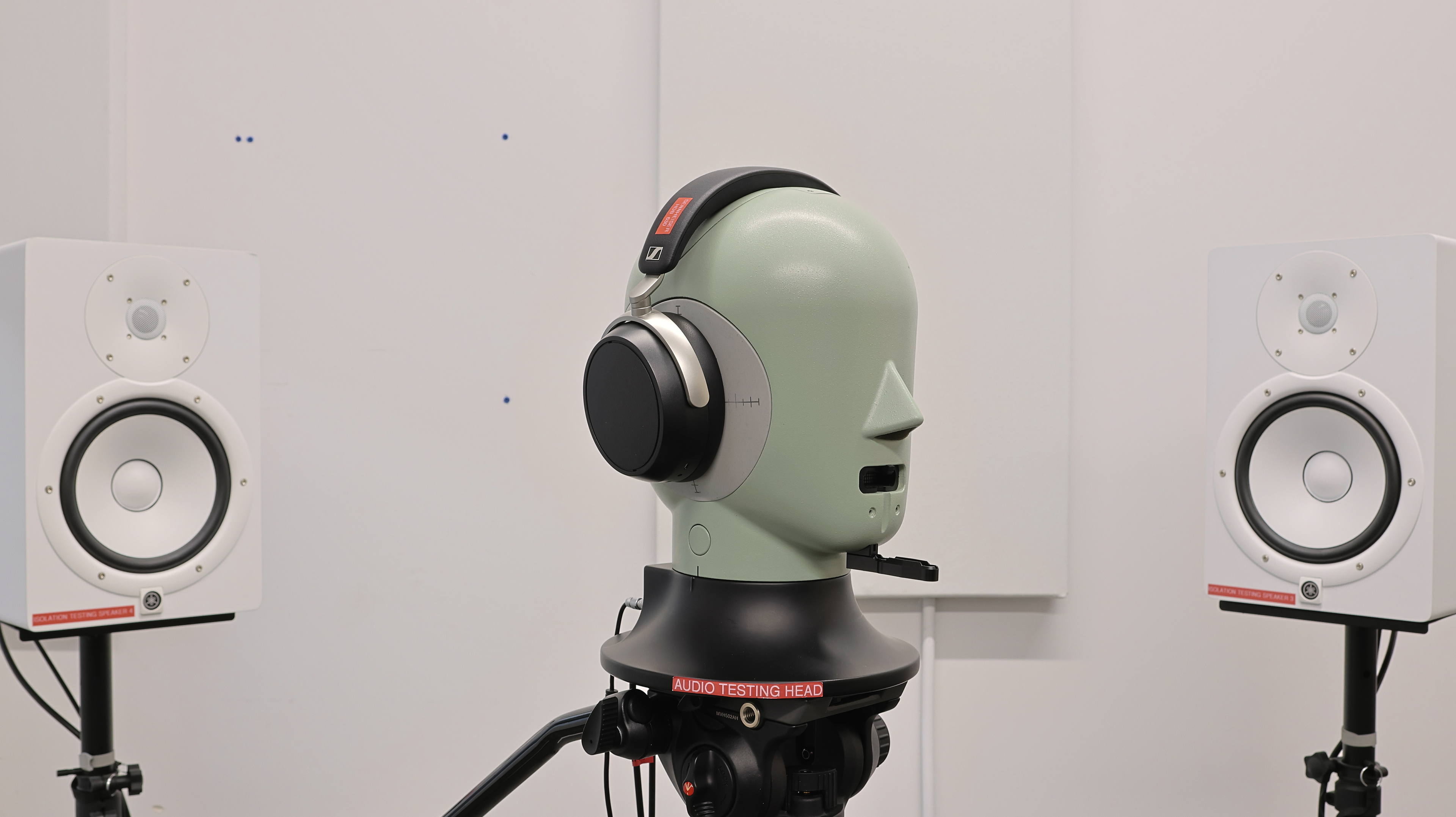 perceptual testing image