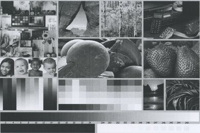 Lexmark B2236dw Side By Side Print/Photo