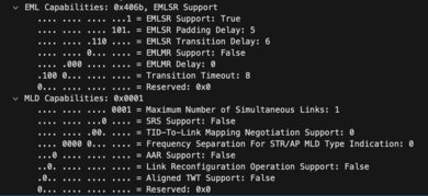 eero Max 7 Beacon Frame