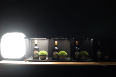 Panasonic LUMIX S5 II Dynamic Range Scene