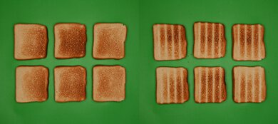 Ninja French Door Premier FO101 Unprocessed Toast Picture