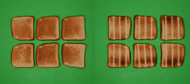 Ninja Flip SP151 Unprocessed Toast Picture