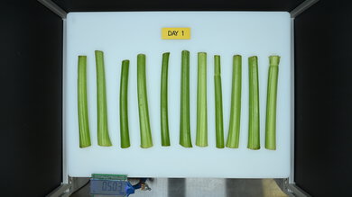 Fisher & Paykel Series 7 RF201AHJSX1 Produce Picture (Before)