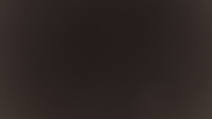 ASUS ROG Swift Pro PG248QP Black Level Raise Picture