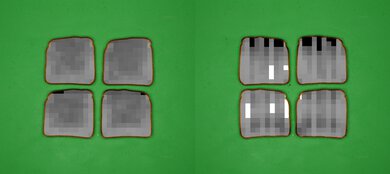 Ninja Flip SP151 Processed Toast Picture