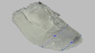 Nike Revolution 8 Forefoot Width Photo