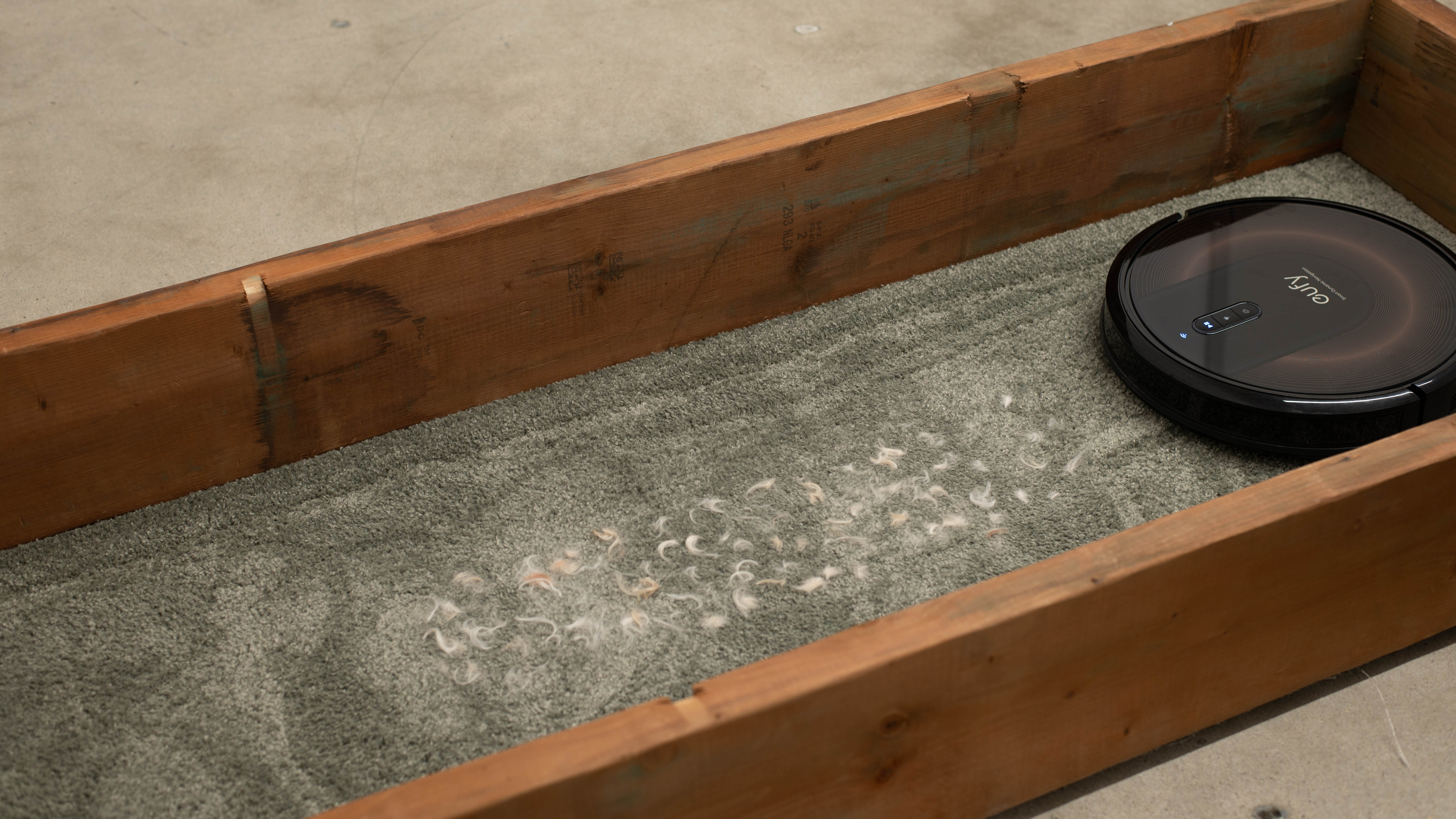 perceptual testing image