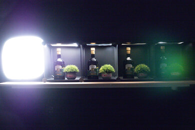 Leica D-Lux 8 Dynamic Range Scene