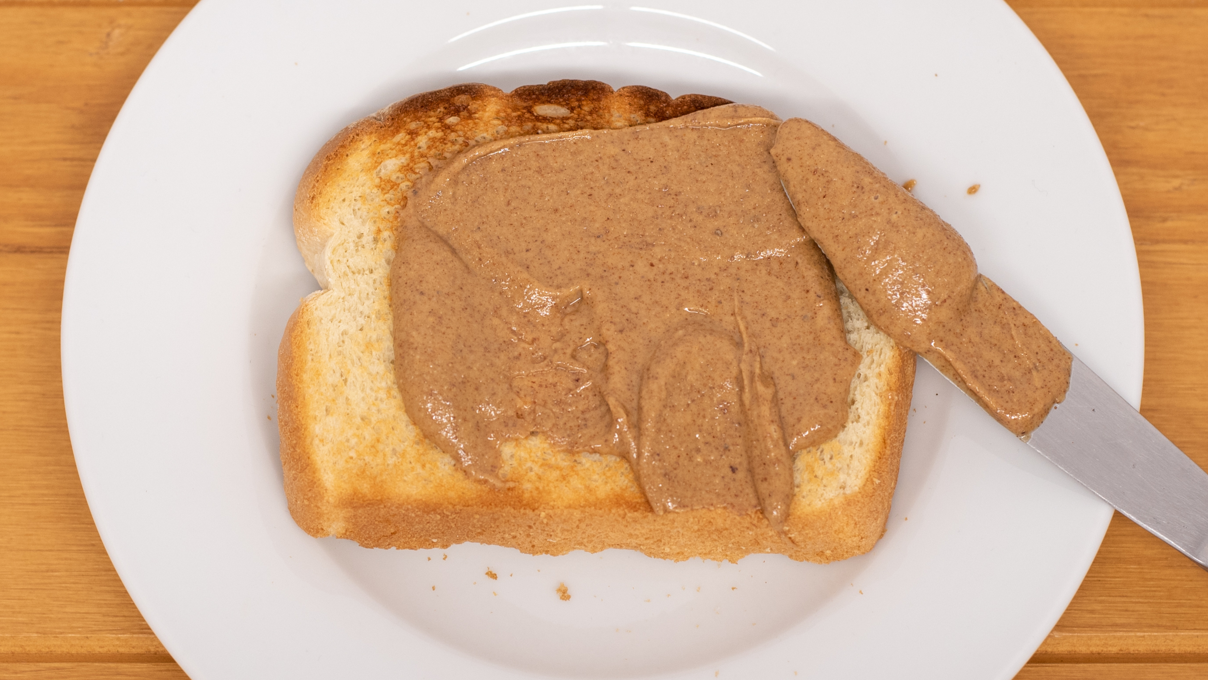 Ninja Professional Blender 1000 Review