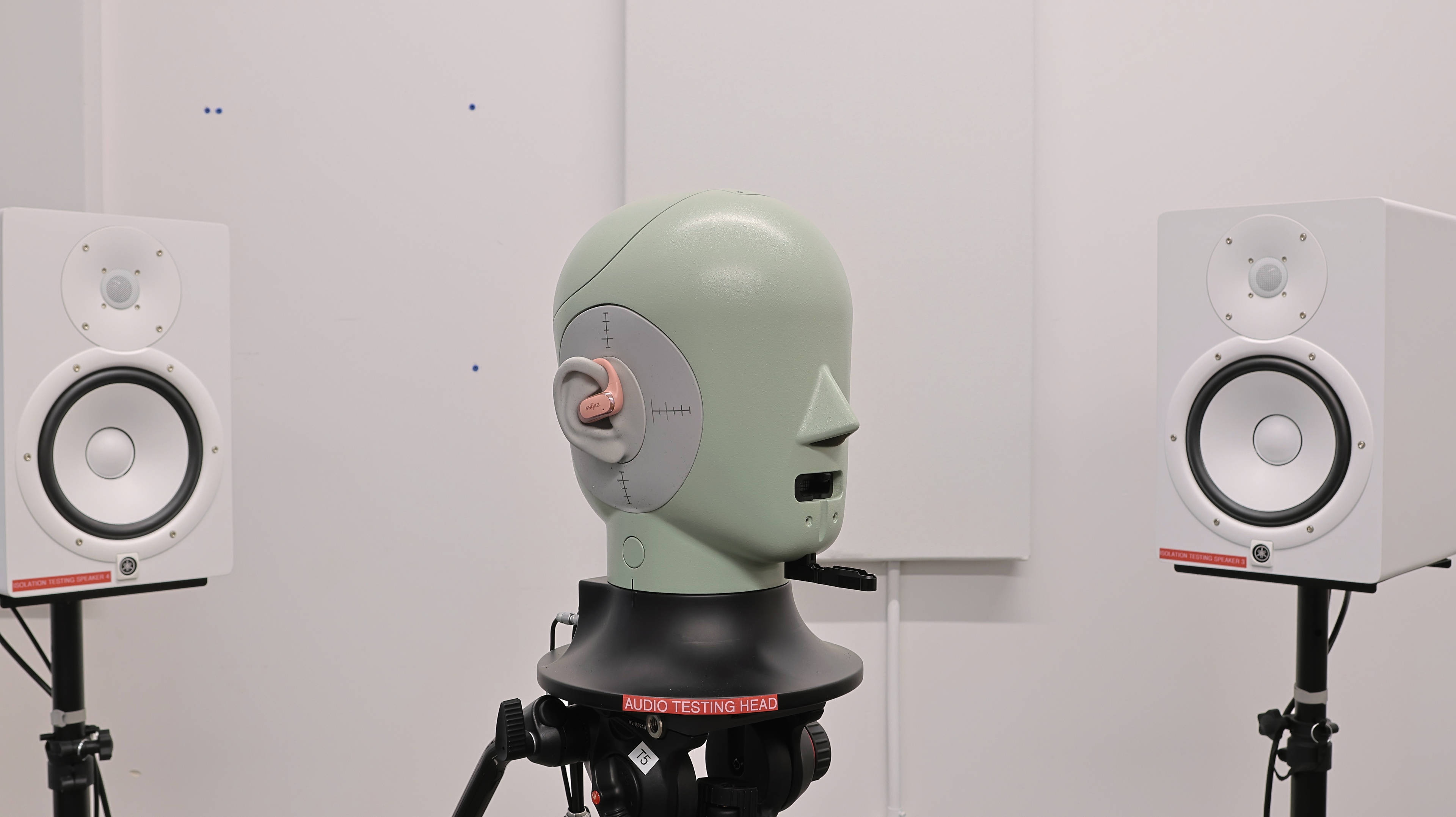 perceptual testing image