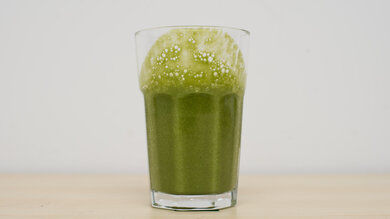 Vitamix Propel 510 Fibrous Ingredients (Full Capacity) Photo