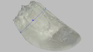 ASICS GLIDERIDE MAX Arch Fit Photo