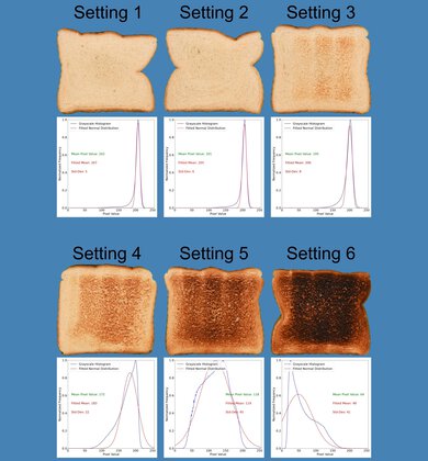 bella 4-Slice Toasting Range Photo
