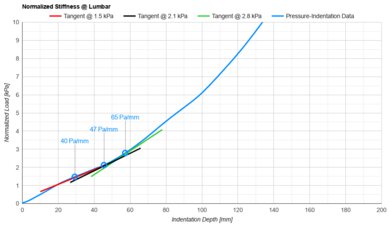 Bear Elite Hybrid Lumbar Firmness