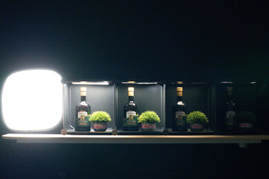 Sony ZV-E10 II Dynamic Range Scene